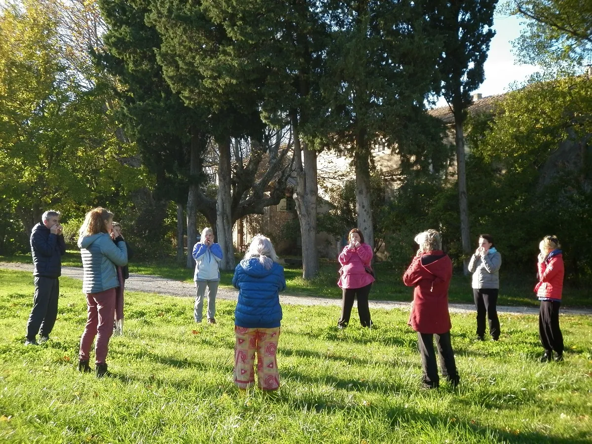 Un groupe de Qi Gong dans un parc