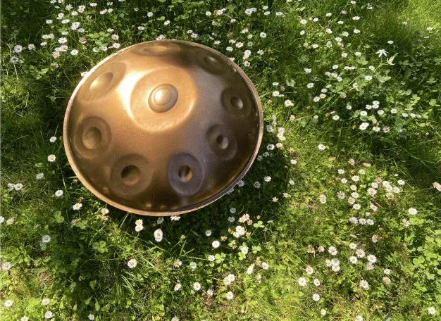Un handpan dans l'herbe fleurie